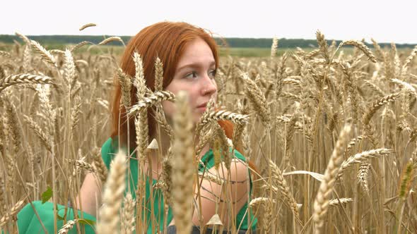 Walk on Wheat Field