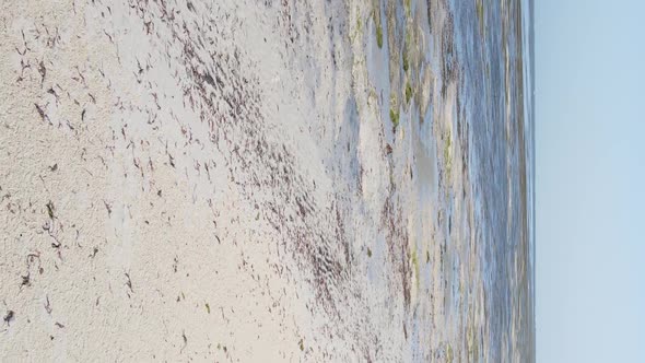 Vertical Video of Low Tide in the Ocean Near the Coast of Zanzibar Tanzania Aerial View