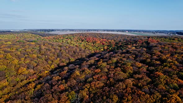 Aerial Shot of Forest in Fall Season