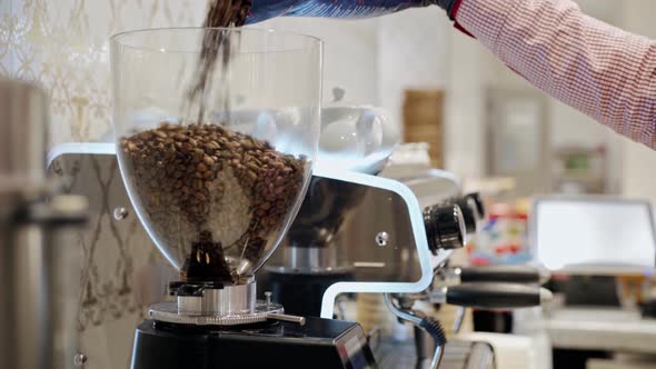 Barista Pouring Coffee Beans Into a Coffee Grinder Close Up