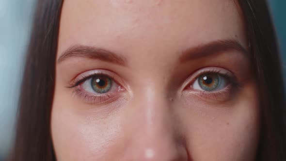 Closeup Macro Portrait of Beauty Young Beautiful Woman's Eyes Smiling Model Looking at Camera