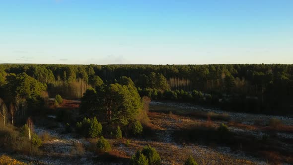 Ecological Consequences of Deforestation in Siberia