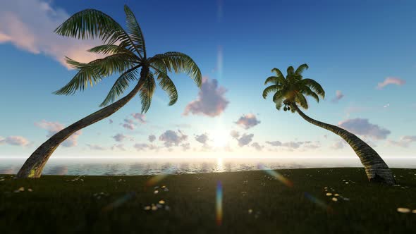 Sea With Palms At Sunrise alt
