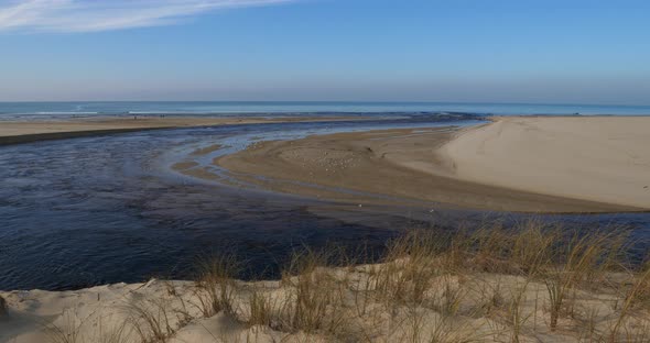 The Courant d Huchet,  Landes department, Nouvelle Aquitaine, France