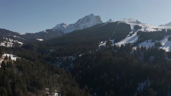 Aerial of green trees in a beautiful snow covered valley