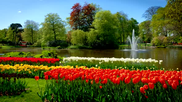 Keukenhof Flower Garden. Lisse, the Netherlands.