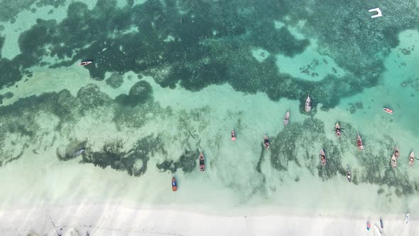 Boats in the Ocean Near the Coast of Zanzibar Tanzania