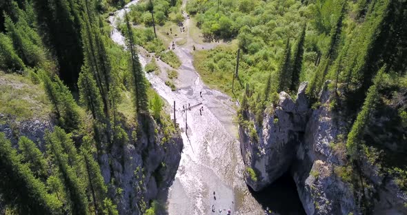 Coniferous Trees Rise From Depths of Mountain Lake