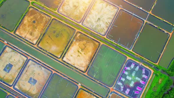 An aerial view over a drone flying over a large shrimp farm