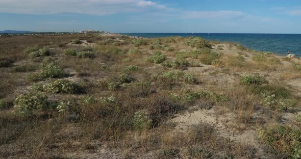 The beach between the Canet en Roussillon and Saint Cyprien, Occitanie, France