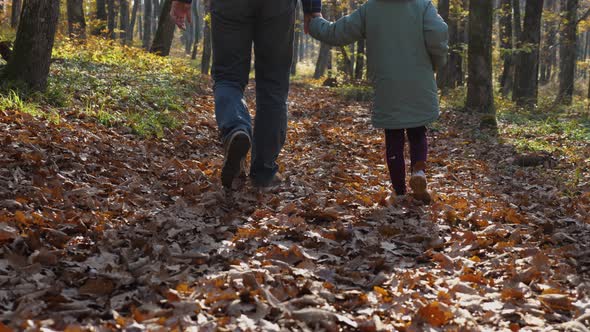 In slow motion, father and daughter holding hands walk and kick fallen leaves in an autumn forest
