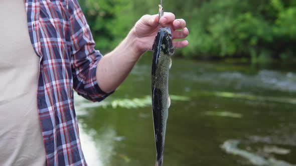 Close Up of Man Holds the Trout Caught in the River