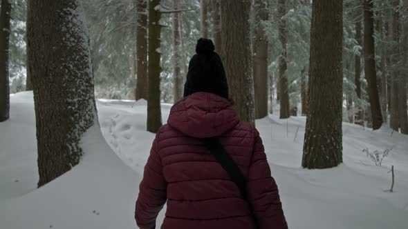 Following a Woman in a Snow Covered Winter Forest