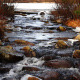 Bubbling Brook - VideoHive Item for Sale