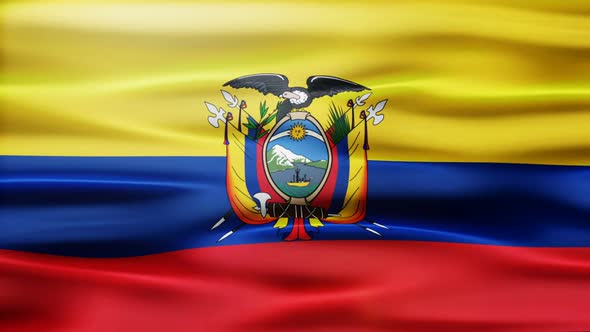 Ecuador Flag Waving
