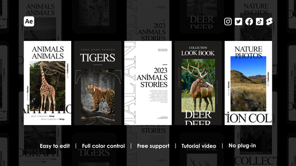 Album Instagram Stories alt