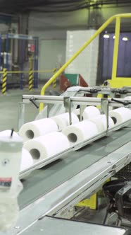 Conveyor in a Paper Mill