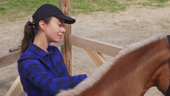 Caretaker Brushing Her Horse Blond Mane  Grooming Her Horse  Horse Love