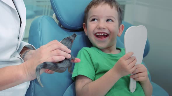 Dentist in the Dental Office Woman Dentist Treating Teeth to Little Boy Child Patient in Clinic