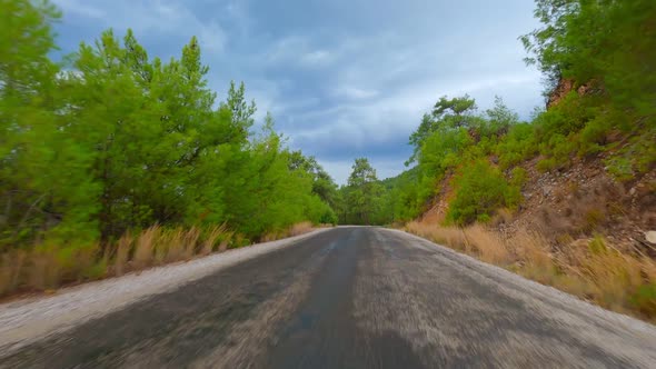 Car Drive Forest