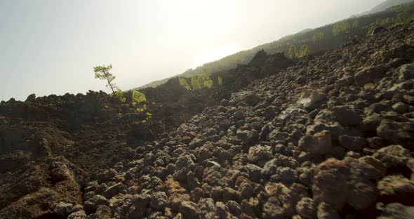 Volcanic Rock In Sunlit Tenerife