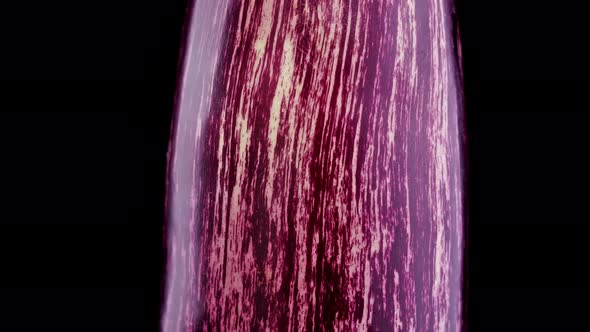 Purple Striped Eggcup Spins Up Close on Black Background