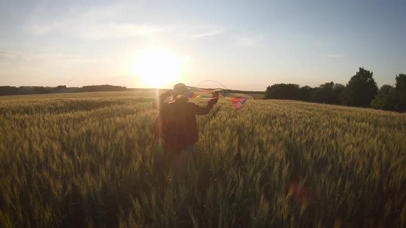 Pretty Girl Playing with Kite in Wheat Field on Summer Day. Childhood, Lifestyle Concept.