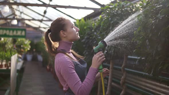 Young Attractive Female Gardener in Uniform Watering Plants with Garden Hose in Greenhouse