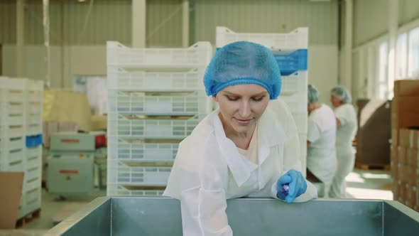 Candy Factory. Factory Worker Checking Packing Machine.