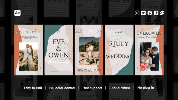 Wedding Instagram Stories alt