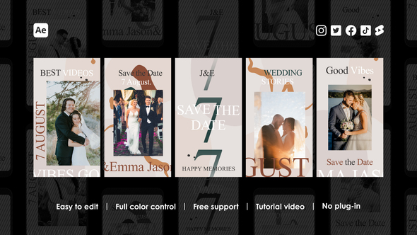 Vintage Wedding Instagram Reels alt