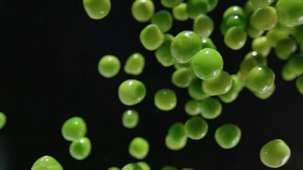 Fresh Green Peas are Falling Diagonally on the Black Background