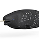 Narwhal Fish - 3DOcean Item for Sale