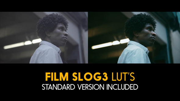 Film Slog3 and Standard Color LUTs