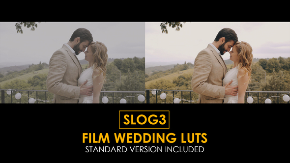 Slog3 Film Wedding and Standard Color LUTs
