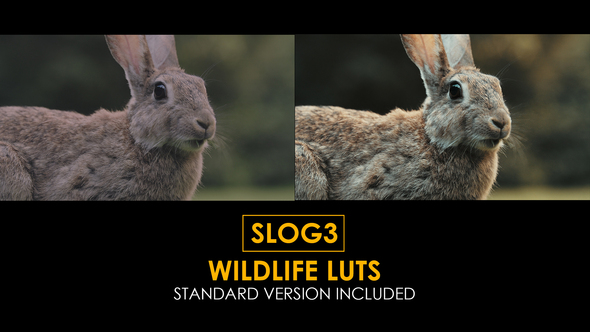 Slog3 Wildlife and Standard Color LUTs alt