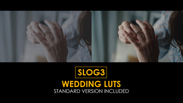 Slog3 Wedding and Standard Color LUTs alt