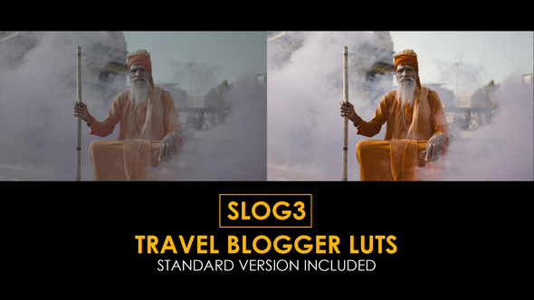 Slog3 Travel Blogger and Standard Color LUTs