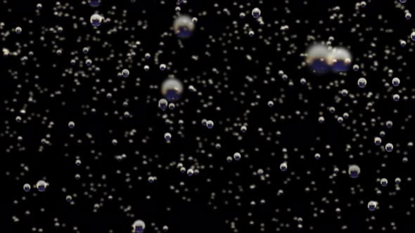 Transparent Bubbles Go Up Underwater Over Black Background