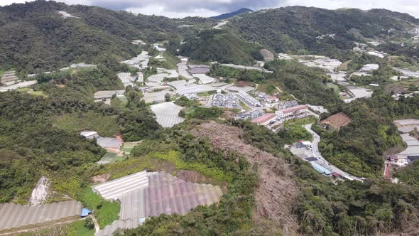 Cameron Highlands, Pahang Malaysia