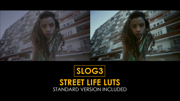 Slog3 Street Life and Standard Color LUTs alt