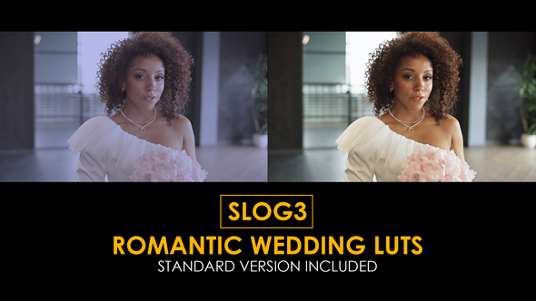 Slog3 Romantic Wedding and Standard Color LUTs