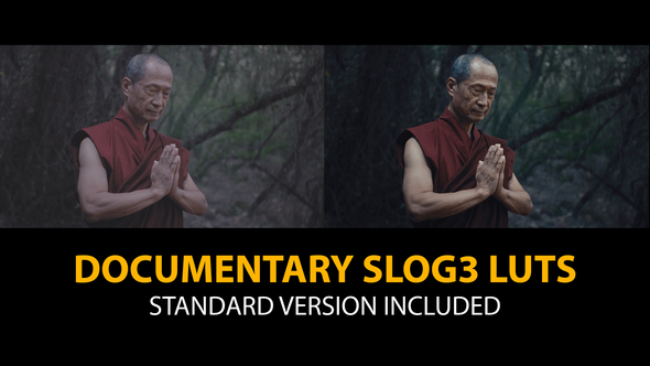Slog3 Documentary and Standard Color LUTs