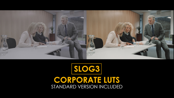 Slog3 Corporate and Standard Color LUTs alt