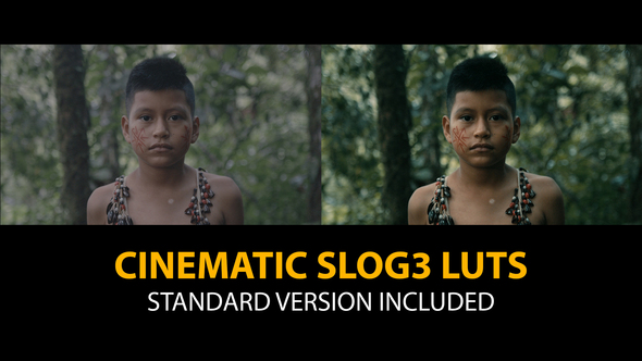 Slog3 Cinematic and Standard Color LUTs alt