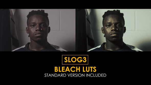 Slog3 Bleach and Standard Color LUTs alt