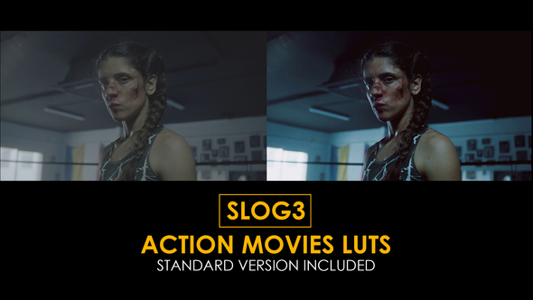 Slog3 Action Movies and Standard Color LUTs alt
