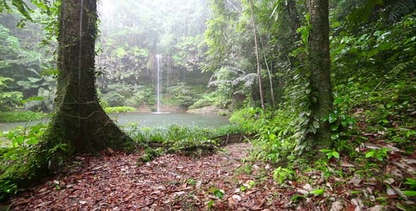 Waterfall in Borneo Rainforest 