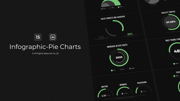 Infographic - Pie Charts / AE