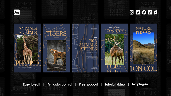 Wild Animal Instagram Stories alt